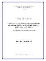 Chế tạo vật liệu nanocomposite trên nền cao su thiên nhiên bằng phương pháp cơ nhiệt động và ứng dụng  