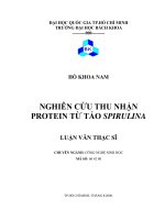 Nghiên cứu thu nhận protein từ tảo spirulina  