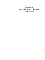 Giáo trình luật hình sự việt nam  phần chung 