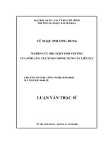Nghiên cứu điều kiện sinh trưởng của spirulina platensis trong nuôi cấy liên tục  