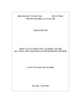 Pháp luật về thỏa ước lao động tập thể qua thực tiễn thi hành tại thành phố hồ chí minh  