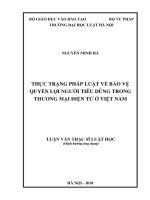 Thực trạng pháp luật về bảo vệ quyền lợi người tiêu dùng trong thương mại điện tử ở việt nam  