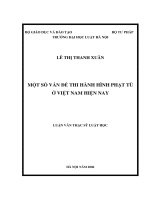 Một số vấn đề về thi hành hình phạt tù ở việt nam hiện nay  