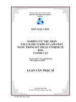 Nghiên cứu thu nhận cellulose vi khuẩn làm chất mang trong kỹ thuật cố định tế bào vi sinh vật  