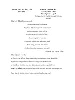 Tải Đề thi học kì 1 lớp 9 môn Ngữ văn Sở GD&ĐT Bến Tre năm học 2018 - 2019 - Đề kiểm tra hk 1 môn Văn lớp 9