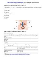 Tải Giải vở bài tập môn Tự nhiên xã hội 3 bài 10: Hoạt động bài tiết nước tiểu - Hướng dẫn giải VBT Tự nhiên và xã hội lớp 3