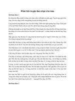 Tải Văn mẫu lớp 6: Phân tích truyện Đeo nhạc cho mèo - Phân tích Ngữ văn lớp 6