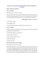 Tải Đáp án đề thi vào lớp 10 môn Văn 2019 THPT Chuyên Lê Hồng Phong - Nam Định - Đề thi chuyên Văn vào lớp 10 năm 2019 có đáp án