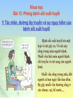 Khoa học  5 - Tuần 7 - 5A1 Thanh Tâm: Phòng bệnh sốt xuất huyết