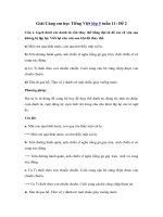 Tải Giải Cùng em học Tiếng Việt lớp 5 tuần 11: Đề 2 - Giải bài tập Cùng em học Tiếng Việt 5 tập 1