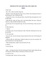 Tải Đề cương ôn tập giữa học kì 1 lớp 4 năm 2020 - 2021 - Nội dung ôn tập giữa học kì 1 lớp 4