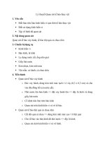 Tải Lý thuyết Sinh học lớp 6 bài 6 - Quan sát tế bào thực vật