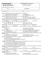 Download Đề ôn tập thi HK Hóa học 10 cơ bản
