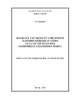 Đánh giá tác dụng ức chế Enzym Xanthin Oxidase In Vitro của cây nở ngày đất Gomphrena Celosiodes Mart