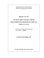 Áp dụng qfd vào quá trình phát triển sản phẩm blue chip tại công ty atvn 
