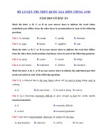 Tải Ôn thi THPT Quốc gia năm 2019 môn Tiếng Anh số 38 - Đề thi thử TNPT Quốc Gia môn Tiếng Anh có đáp án