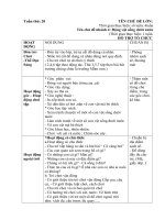 chủ đề tuần 20 : Những con bé biết: Nhánh 4:Động vật sống dưới nước