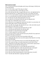 Download 28 câu hỏi ôn tập sinh học kì 1 cực hay