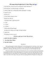 Tải Đề cương ôn tập giữa học kì 2 môn Tiếng việt lớp 4 năm 2019 - 2020 - Nội dung ôn thi giữa học kì 2 môn Tiếng việt lớp 4