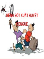 BỆNH sốt XUẤT HUYẾT DENGUE _ BỆNH HỌC (chữ nhìn biến dạng do dùng Font VNI-Times, tải về xem bình thường)