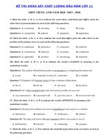 Tải Đề thi khảo sát môn Tiếng Anh lớp 11 trường THPT Yên Lạc, Vĩnh Phúc (lần 2) - Đề thi khảo sát chất lượng lớp 11 môn tiếng Anh có đáp án