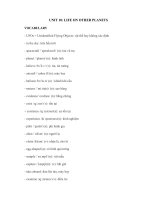 Tải Từ vựng Tiếng Anh lớp 9 Unit 10: Life On Other Planets - Từ vựng Tiếng Anh lớp 9 theo từng Unit