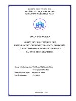 Nghiên cứu hoạt tính ức chế enzyme acetylcholinesterase của dịch chiết rong sagassum swartzii thu hoạch tại vùng biển khánh hòa  