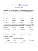 Tải Bài ôn tập ở nhà trong thời gian nghỉ dịch Corona môn tiếng Anh lớp 8 - Ôn tập tiếng Anh lớp 8 giữa học kì 2 có đáp án