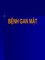 BỆNH GAN mật _ BỆNH HỌC (chữ nhìn biến dạng do dùng Font VNI-Times, tải về xem bình thường)