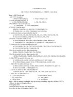 Download Đề cương ôn tập hóa học 11 cơ bản