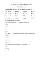 Tải Đề thi học kì 1 lớp 10 môn Tiếng Anh năm học 2018 - 2019 số 1 - Đề kiểm tra Tiếng Anh lớp 10 chương trình mới học kì 1 có đáp án