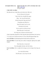 Tải Đề thi học kì 1 lớp 9 môn Văn Sở GD&ĐT Đồng Nai năm 2020 - 2021 - Đề thi học kì 1 lớp 9 môn Văn