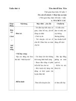 GIÁO ÁN TUẦN 6- ĐẢM BẢO AN TOÀN CHO BÉ