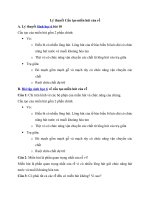 Tải Lý thuyết Sinh học lớp 6 bài 10 - Cấu tạo miền hút của rễ