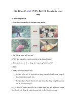 Tải Giải Tiếng việt lớp 5 VNEN: Bài 11B: Câu chuyện trong rừng - Giải bài tập Tiếng việt lớp 5