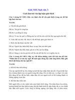 Tải Giải VBT Ngữ văn 7: Cách làm bài văn lập luận giải thích - Giải vở bài tập Ngữ văn 7 Tập 2