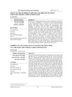 NGHIÊN CỨU SỐ LƯỢNG LOÀI VÀ NGUỒN GỐC PHÁT SINH  CỦA CHI PYRULARIA MICHX. (CERVANTESIACEAE)