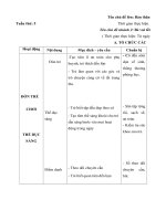 giao an tuan 5 : Tết trung thu