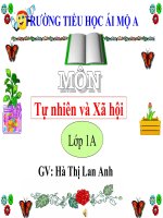 Tuan 8- -TNXH - Bai 8: An uong hang ngay
