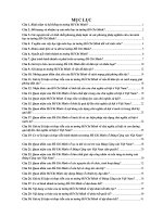 Đề cương câu hỏi tự luận ôn tập môn Tư tưởng Hồ Chí Minh (có đáp án)