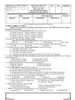 Download Đề kiểm tra văn 9 kì 1 1011- có đáp án