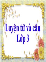 LTVC - Tuần 13 - Lớp 3