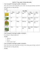 Tải Giải vở bài tập môn Tự nhiên xã hội 3 bài 56-57: Thực hành: Đi thăm thiên nhiên - Hướng dẫn giải VBT Tự nhiên và xã hội lớp 3