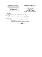 Download Đề kiểm tra HKI sinh học 10