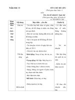 Tuần 11: Cô giáo của bé