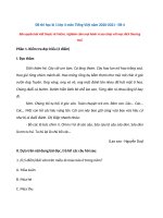 Tải Đề thi học kì 1 lớp 4 môn Tiếng Việt năm 2020-2021 - Đề 4 - Đề kiểm tra cuối học kì 1 lớp 4 có đáp án