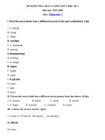 Tải Đề thi giữa kì 2 lớp 7 môn Tiếng Anh năm học 2019 - 2020 - Đề kiểm tra giữa học kỳ 2 môn tiếng Anh lớp 7 có đáp án