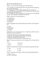 Tải Trắc nghiệm Sinh học 6 bài 10 - Cấu tạo miền hút của rễ