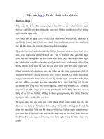 Tải Tả cây chuối vườn nhà em đạt điểm 10, 9 - 9 bài văn mẫu hay tả cây chuối lớp 4