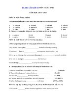 Tải Đề ôn thi vào lớp 10 môn Tiếng Anh năm học 2019 - 2020 số 7 - Luyện thi vào lớp 10 năm 2019 môn Tiếng Anh có đáp án